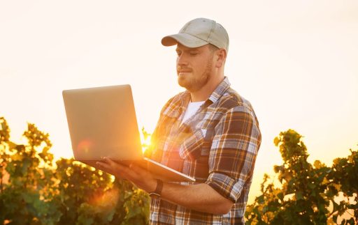 O Impacto do Software no Crescimento dos Negócios